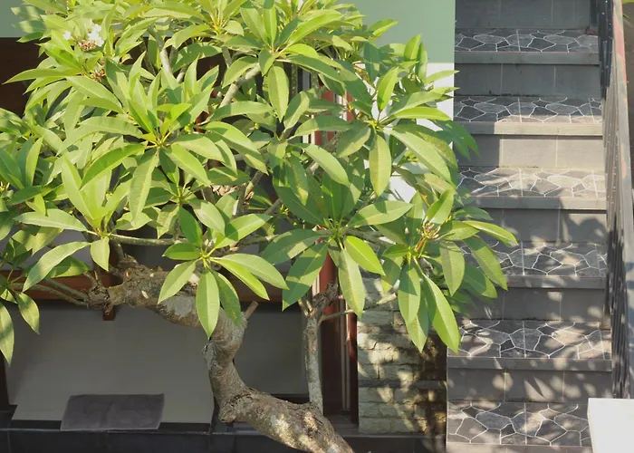 Sera - 3 Units In With Private Pool Ubud