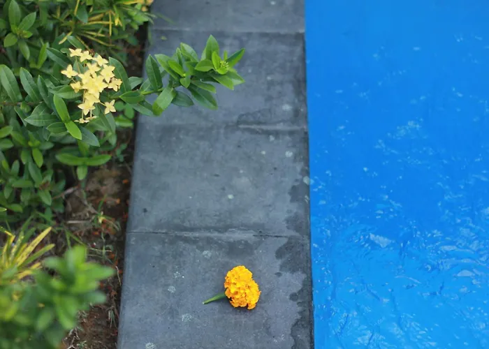 Sera - 3 Units In With Private Pool * Ubud